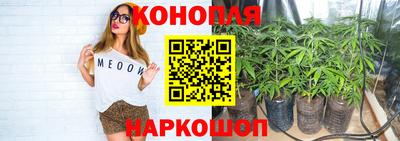 индика Краснодар