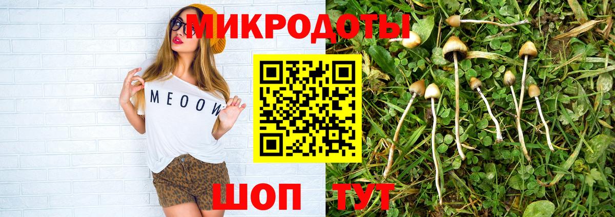 Псилоцибиновые грибы Psilocybe Когалым