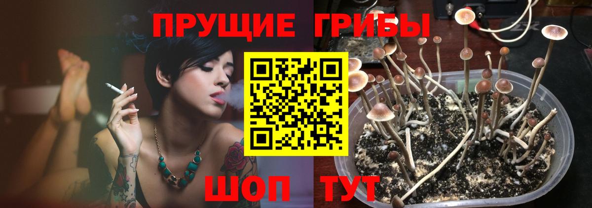 Когалым  закладка  Псилоцибиновые грибы GOLDEN TEACHER  Вход с VPN  Псилоцибиновые грибы MAGIC MUSHROOMS 